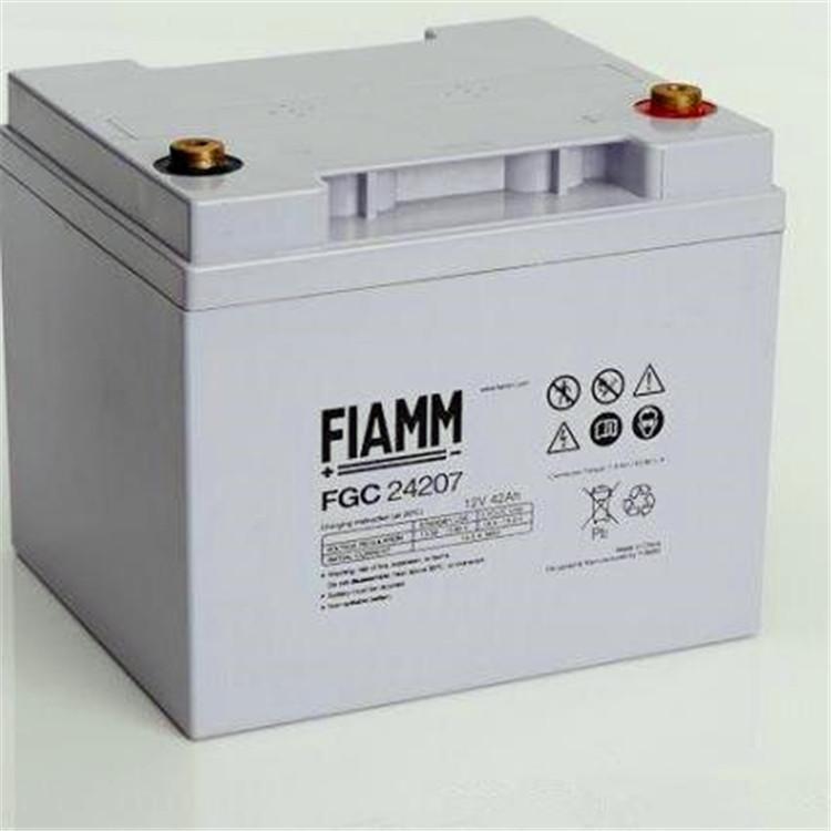 非凡蓄电池FGC24207 FIAMM电池12V24AH厂家UPS电源通信电源