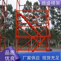 天津安全可靠 笼梯定制加工