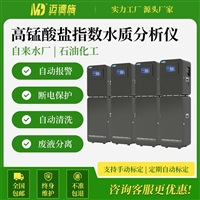 高锰酸盐指数水质分析仪 污水石油化工废水CODmn值在线自动监测仪