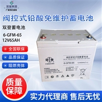 双登蓄电池6-GFM-65 12V65AH直流屏 配电柜 UPS/EPS电源 通信基站