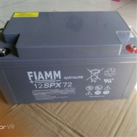 FIAMM非凡蓄电池12SP65 12V65AH机房UPS应急储能专用电源