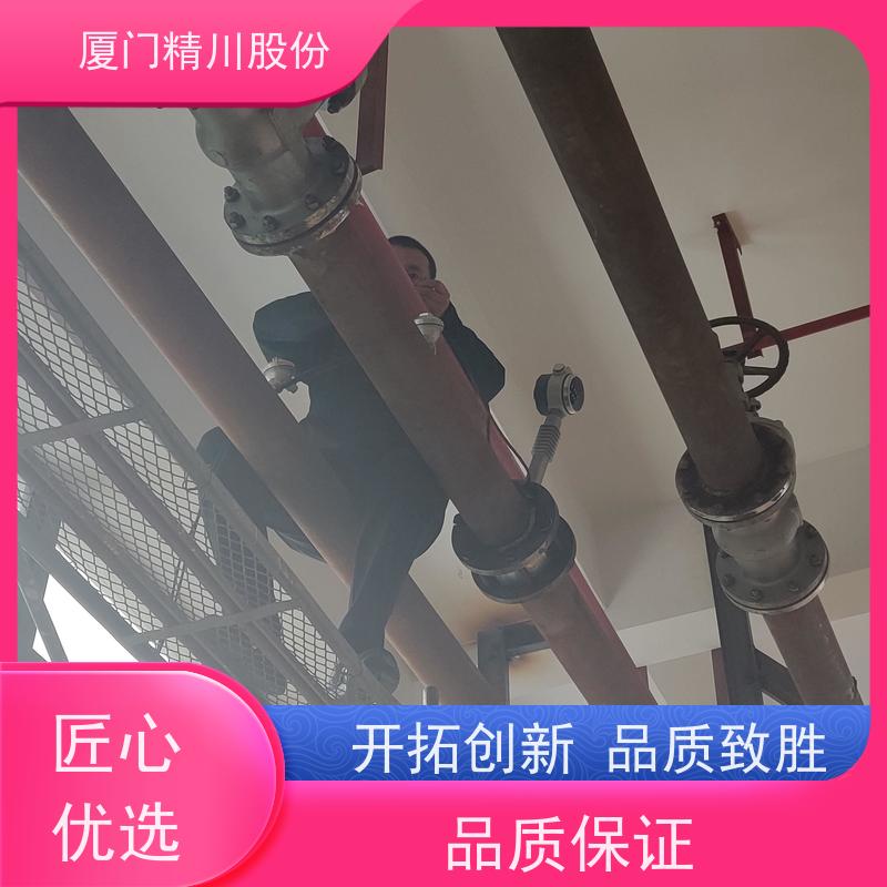 精川股份 合成革厂 导热油流量计 耐高温400度 安装简单