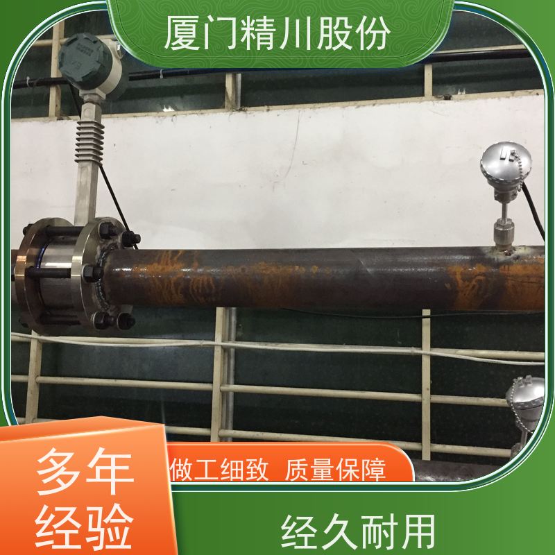 精川股份 合成革厂 导热油炉流量计 耐高温400度 单位可选