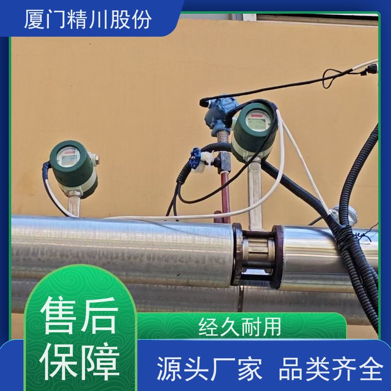 精川股份 合成革厂 饱和蒸汽流量计 分体式温压补偿 应用广泛