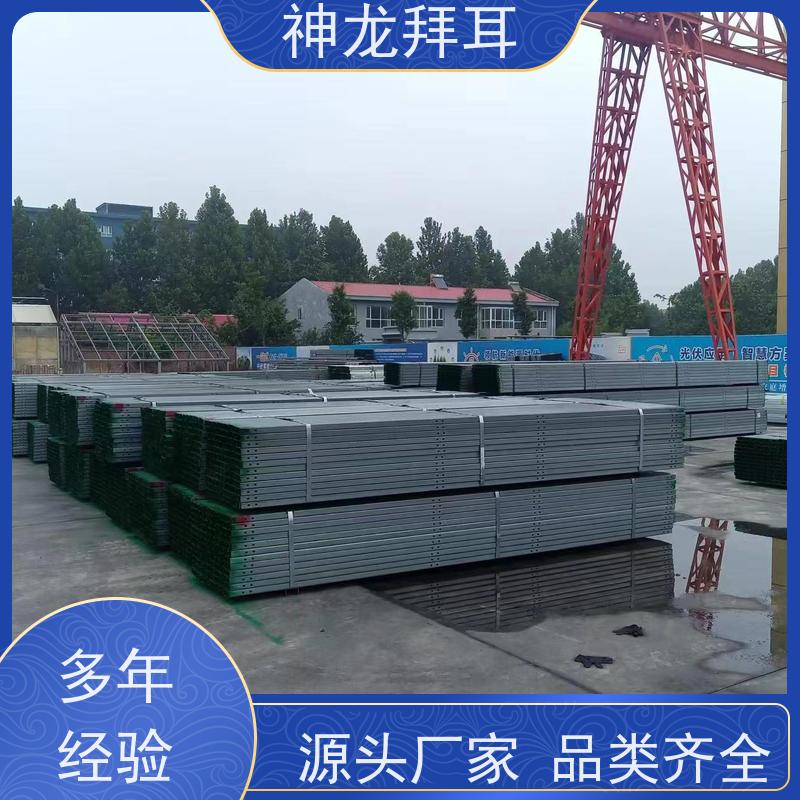 河北神龙拜耳 镀铝镁锌光伏支架 厂家 稳定可靠