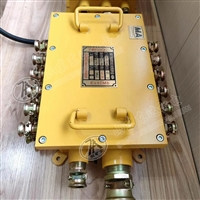 防爆接线盒 BHD-10/127-28G煤矿用隔爆型低压电缆接线盒