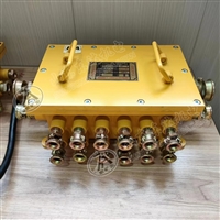 BHD-10/127-16G煤矿用隔爆型低压电缆接线盒