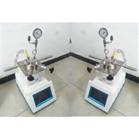 磁力搅拌反应釜 型号:GR-100/ SC-L