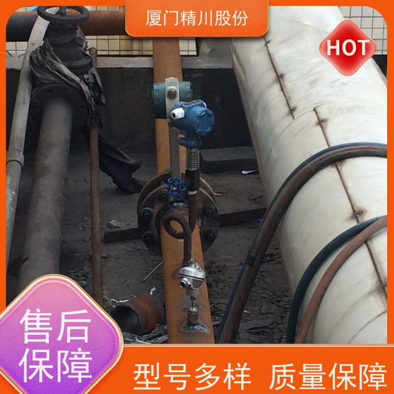 精川股份 合成革厂 压缩空气流量计 可耐温350度 源头生产厂家