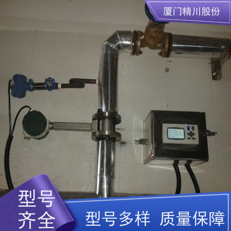 精川股份 合成革厂 饱和蒸汽流量计 测量精度高 真实应用案例多