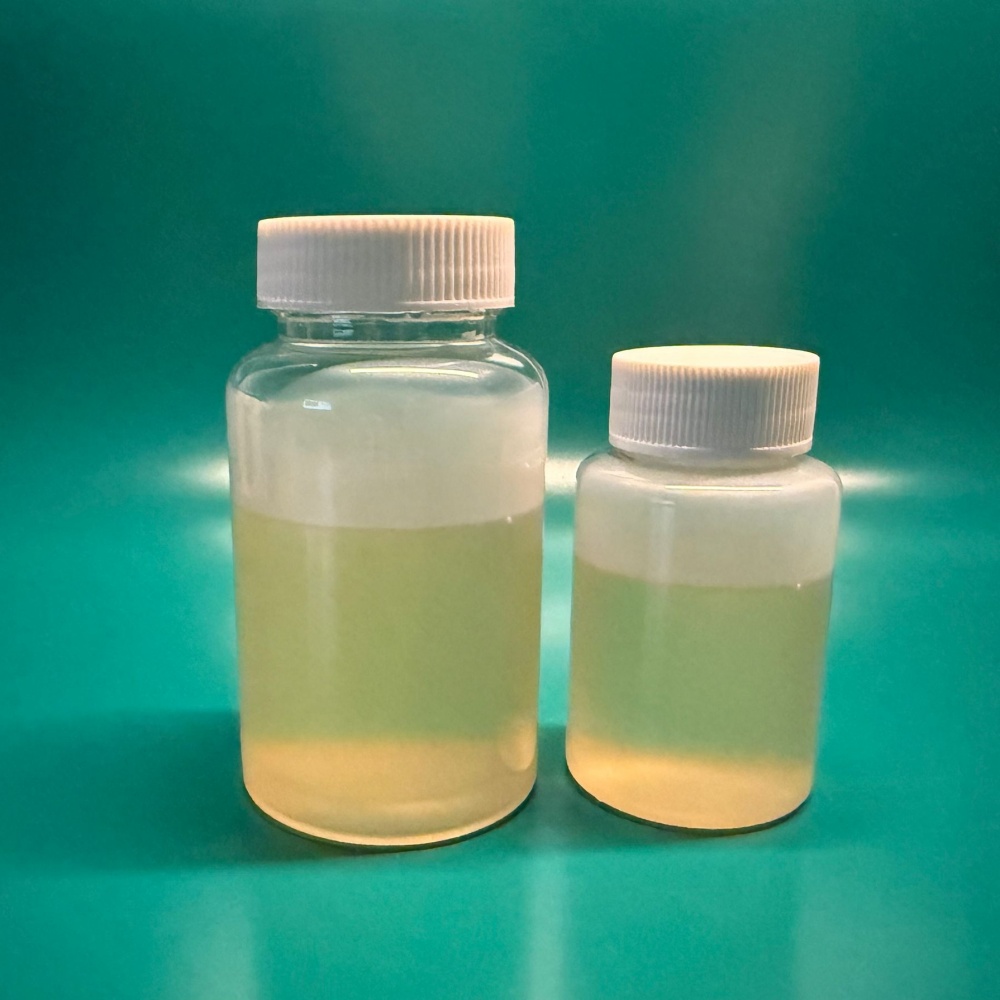 淮纳新材料 涂布机版辊清洗剂 快速分解附着物 HN-X101 防静电包装袋