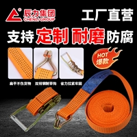  辰力厂家 货车拴紧器 防锈耐腐蚀 港口码头集装箱用  