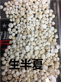 半夏批发姜半夏价格清半夏药效法半夏供应