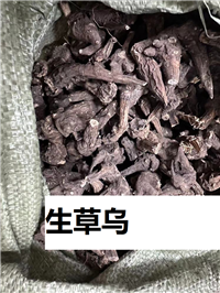 生制草乌批发价格80每公斤