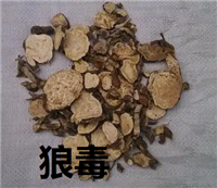 狼毒价格60每公斤中药狼毒批发