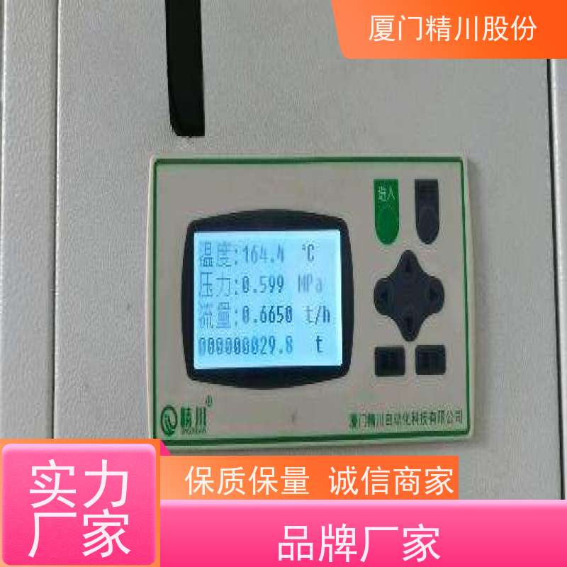 精川股份 合成革厂 饱和蒸汽流量计 一体式温压补偿 应用广泛