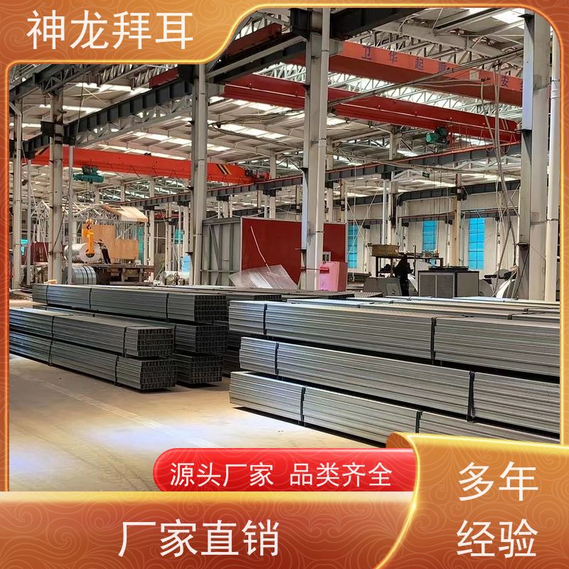 河北神龙拜耳 光伏支架价钱 经济实惠 生产厂家