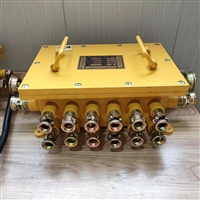 隔爆型低压电缆接线盒