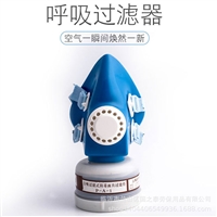 花护2596自吸过滤式防毒口罩 工业化工活性炭 喷漆劳保防护口罩