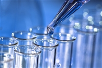 壁纸胶粘剂检测 壁纸胶粘剂检测报告