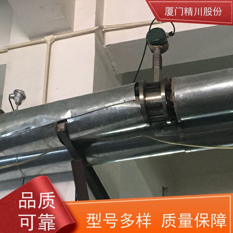 精川股份 合成革厂 导热油流量计 出厂都会设置好 现场案例多