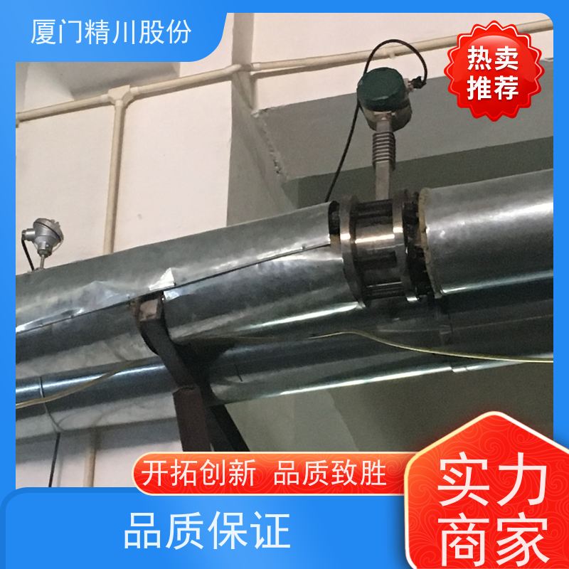 精川股份 合成革厂 导热油炉流量计 出厂都会设置好 安装简单