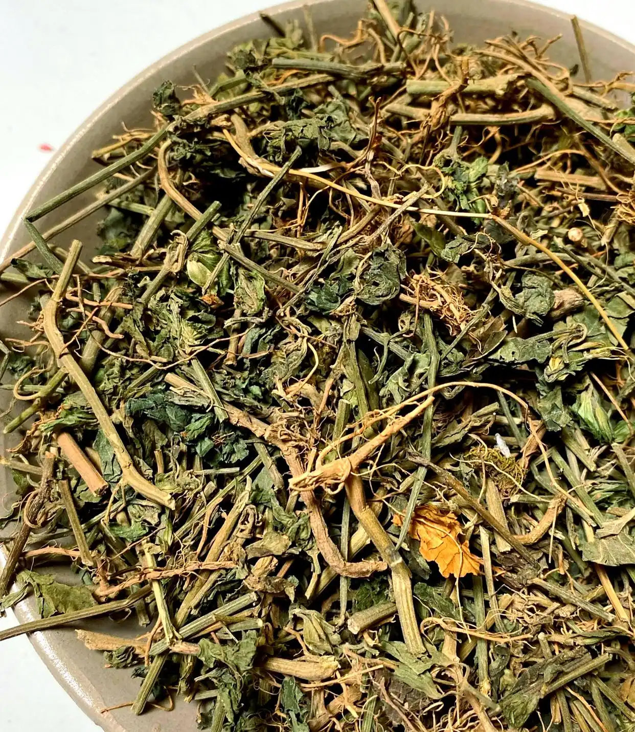 中药狗肝菜价格 批发供应狗肝菜超细粉