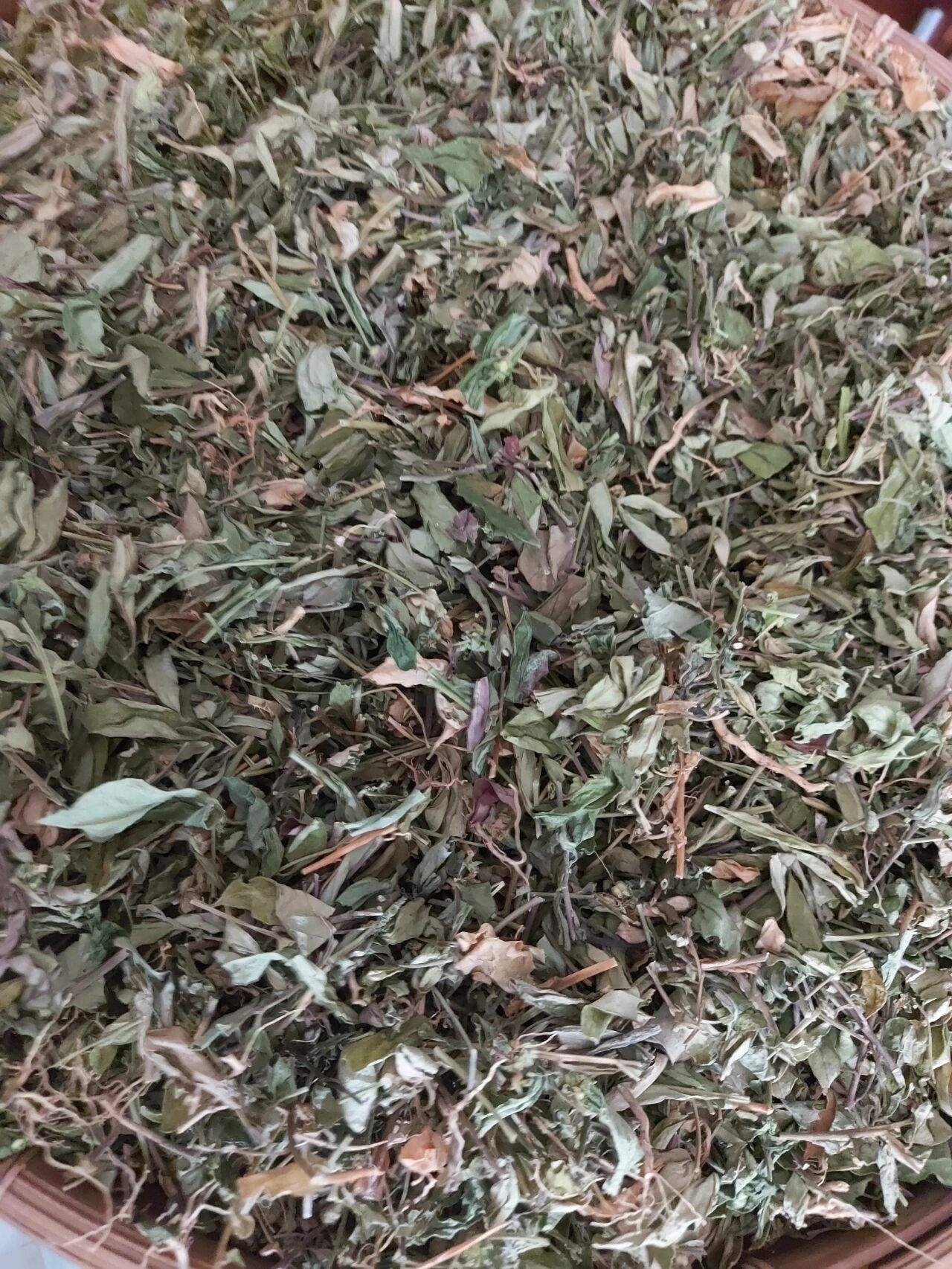 中药瓜子金价格 批发供应瓜子金超细粉