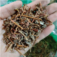 中药杠板归价格 批发供应杠板归超细粉