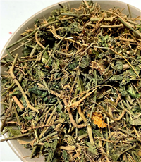 中药狗肝菜价格 批发供应狗肝菜超细粉