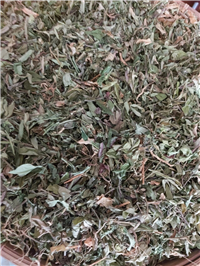 中药瓜子金价格 批发供应瓜子金超细粉