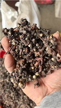 中药拐枣价格 批发供应拐枣超细粉