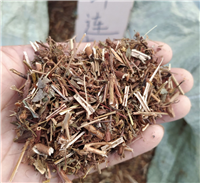 中药贯叶连翘价格 批发供应贯叶连翘超细粉
