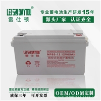 雷仕顿12V65AH蓄电池NP65-12密封式免维护ups电源EPS电源专用电池