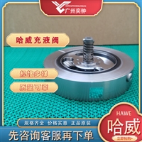 进口HAWE哈威F 80单向阀原装进口充液阀有库存