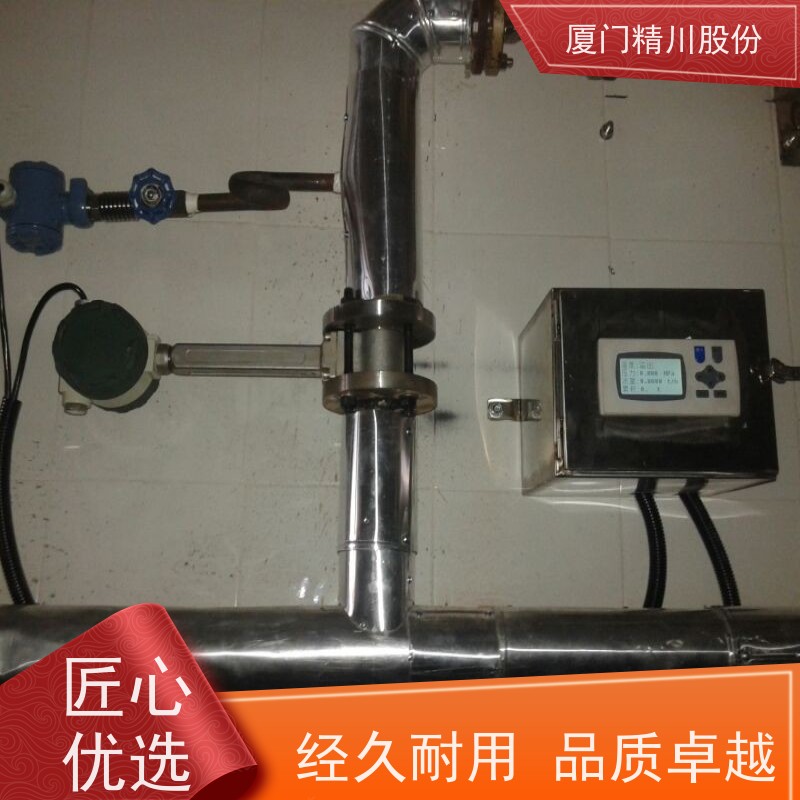 精川股份 合成革厂 锅炉蒸汽流量计 可耐温350度 源头生产厂家