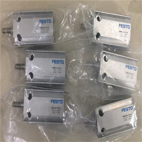 德国FESTO标准型不锈钢气缸DFM-100-100-P-A-GF