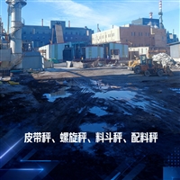 化工行业配料秤 不锈钢材质 耐腐蚀 高精度自动配比