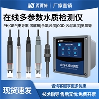 在线PH检测仪污水废水处理厂氨氮悬浮物监测仪超限自动报警IP65