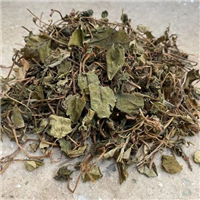 中药过路黄功效 批发供应销售过路黄超细粉
