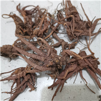 中药隔山香价格 批发供应销售隔山香超细粉