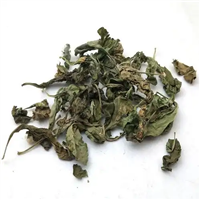 枸杞叶价格 批发供应销售枸杞叶超细粉