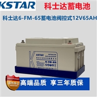科士达蓄电池6-FM-65铅酸免维护12V65AH通信机房UPS/EPS电源专用