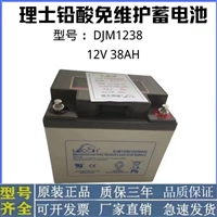 理士蓄电池DJM1238S 12V38AH免维护UPS电源直流屏消防通讯机房EPS