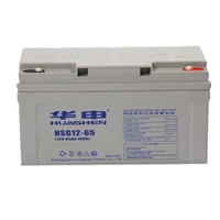 华申蓄电池HSG12-65 12V65AH免维护直流屏阀控式铅酸电池