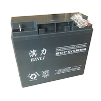 滨力铅酸免维护蓄电池6-GFM-17 12V17AH 直流屏 UPS 太阳能专用