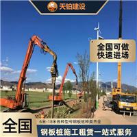 重庆钢板桩租赁施工现场 欢迎致电咨询