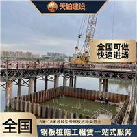 海南钢板桩就近调配设备材料 联系电话上海天铂