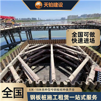 湖南钢板桩就近调配设备材料 联系电话上海天铂