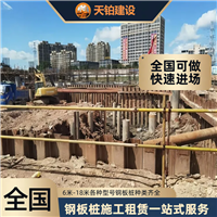 河南钢板桩丰富施工经验 联系电话上海天铂